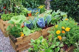 best raised garden beds for vegetables
