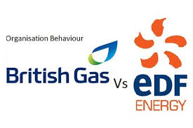 Unit 3 Organisation Behaviour Assignment British Gas Edf