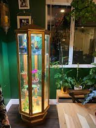 Unlike growing outdoors, where your plants are completely exposed to the elements, growing in a. Project Making An Indoor Greenhouse To Home My Rare Plants Got A Fan Grow Lights And A Humidity Meter Stays About 75 85 Tips Am I Missing Anything Houseplants