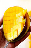 Do mangoes ripen in the fridge?