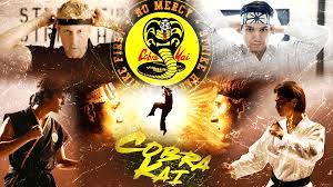 Cobra kai wallpaper is an android app for phones and tablets which contain cobra kai backgrounds and pictures. Cobra Kai Wallpaper Wallpaper Sun