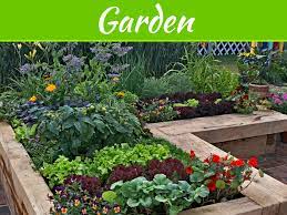 The Best Plants For Small Gardens My