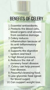 celery juice recipe you will love