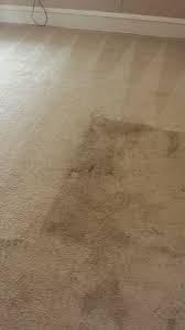 nj carpet cleaning steam cleaning
