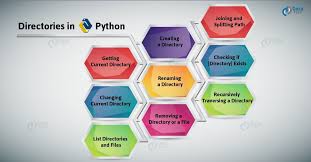 python directory file management a