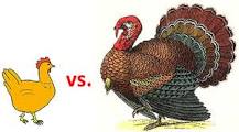 whats-cheaper-chicken-or-turkey