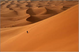 Image result for person standing alone in a desert