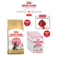 promo royal canin maine kitten