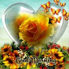 We did not find results for: 162 Lovely Good Morning Wishes With Flowers