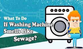 Washing Machine Smells Like Sewage