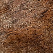 Types Of Fur
