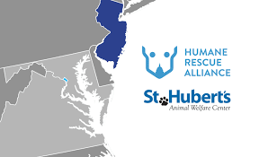 the humane rescue alliance and st hubert s welfare center announce merger
