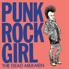 Punk Rock Girl Wikipedia