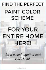Paint Color Scheme