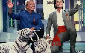 Siegfried and roy, the magicians with the white tigers. Uqsso8k5bzdthm