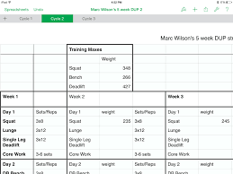 These log templates are also in excel format, so customizing them. Spreadsheet Bodybuilding Meal Plan Template Excel Diet Workout True Natural Sheet Planner Sarahdrydenpeterson