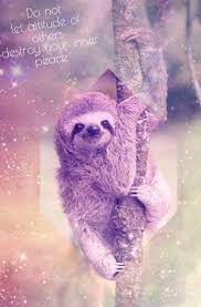 Iphone Wallpaper Cute Sloth ...