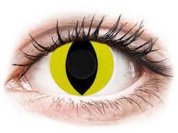 Contact lens exams measure your eye surface so that doctors can prescribe a contact fitted for your exact eye shape. Yellow Cat Eye Contact Lenses Colourvue Crazy 2 Coloured