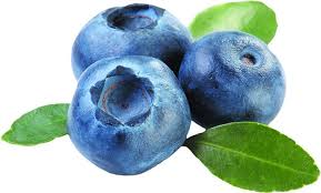 Blueberries Good for Your Blood Pressure and Brain - Tufts Health &  Nutrition Letter