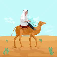 A man rides a camel around he desert in front of the complex, photo: Man Riding On A Camel In Egypt Desert Vector Travel Card Cartoon Character Illustration Starpik Stock