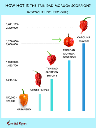 trinidad moruga scorpion scoville