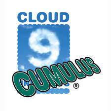 cloud 9 ulus carpet underlay premium