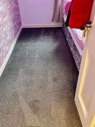 carpet cleaners paisley affordable 5