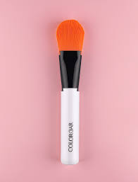 picture perfect foundation brush