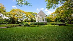 singapore botanic gardens visit
