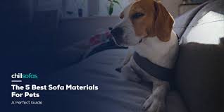 the 5 best sofa materials for pets a
