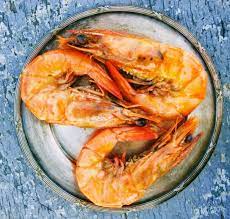 argentine red shrimp on bakee com