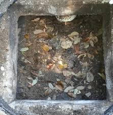 Cigarette butts, diapers, tampons, wipes and coffee grounds often cause problems. Help My Septic Tank Is Full Van Delden