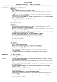 In case you are planning to apply for a senior or executive level position then picking the executive format can be more useful. Finance Executive Resume Samples Velvet Jobs