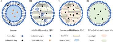 lipid nanoparticles for delivery
