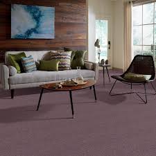 rr sand textured indoor carpet at lowes
