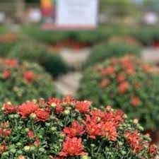 Nurseries Gardening Near East Side