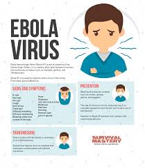 The Ebola Virus Virus Origin Transmission Symptoms And