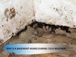 Basement Humid During Cold Weather