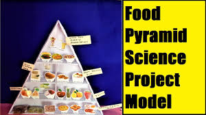 Food Pyramid Science Project Model Diy School Project