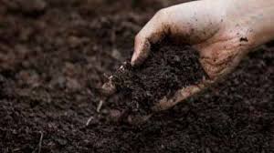 Preparing and Improving Garden Soil | USU