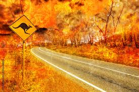 australian forest fire