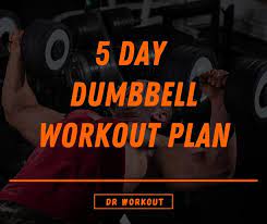 5 day dumbbell workout plan with pdf