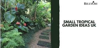 small tropical garden ideas uk with