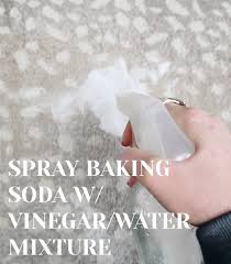 baking soda diy carpet deodorizer