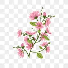 commercial use flower png transpa