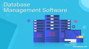 database management software list of