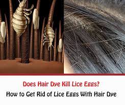 does hair dye kill lice eggs