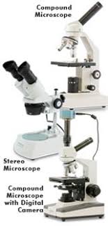 How To Choose A Microscope Compound Or Stereo Hst