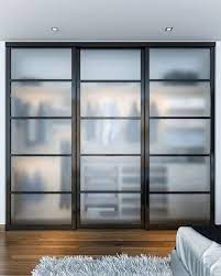Frosted Glass Closet Doors