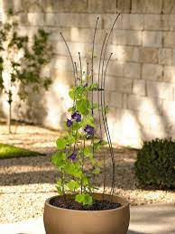 Simply place your planter on its base! Planter Trellis Pot Trellis Powder Coated Steel Gardeners Com